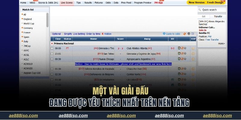 Một vài giải đấu đang được yêu thích nhất trên nền tảng