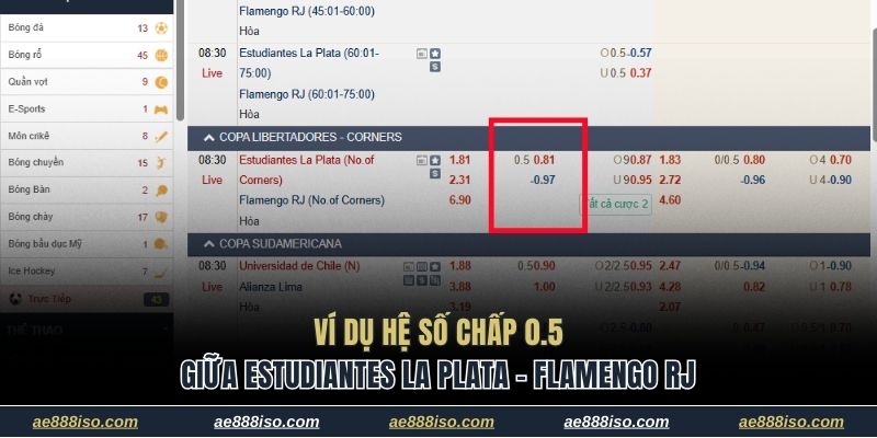 Ví dụ hệ số chấp 0.5 giữa Estudiantes La Plata và Flamengo RJ